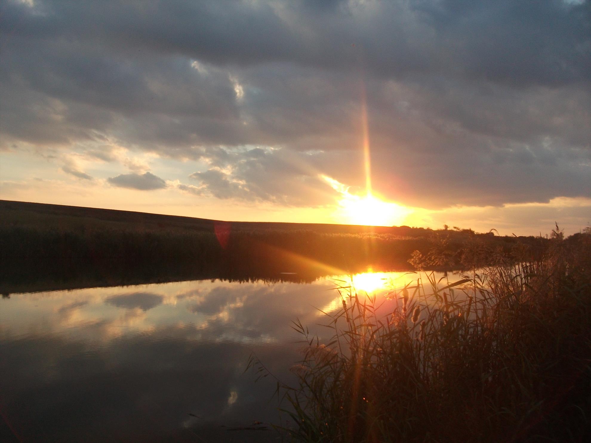 diverse - dscf1625.jpg